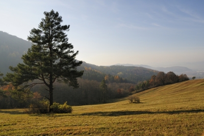 Kliknite pre zobrazenie veľkého obrázka