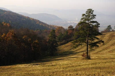 Kliknite pre zobrazenie veľkého obrázka