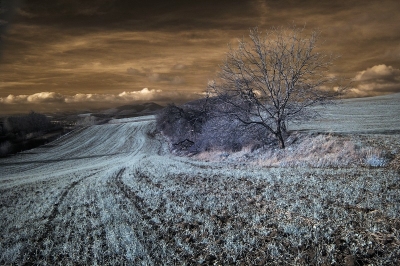 Kliknite pre zobrazenie veľkého obrázka