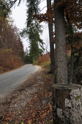 Kliknite pre zobrazenie veľkého obrázka