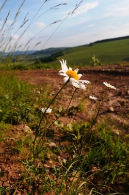 Kliknite pre zobrazenie veľkého obrázka