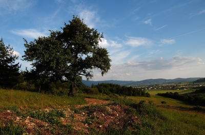 Kliknite pre zobrazenie veľkého obrázka