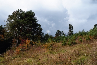 Kliknite pre zobrazenie veľkého obrázka