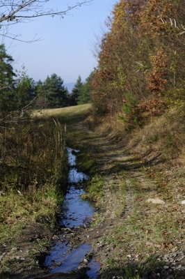 Kliknite pre zobrazenie veľkého obrázka