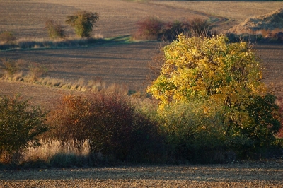 Kliknite pre zobrazenie veľkého obrázka